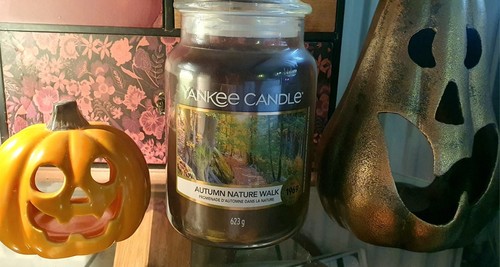 Yankee candle autumn nature - candle,